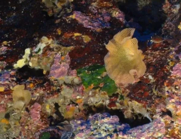 Webaufnahme_16-12-2020_151019_www.flickr.com